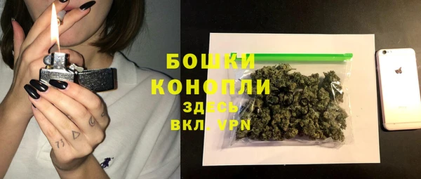 сатива Абдулино