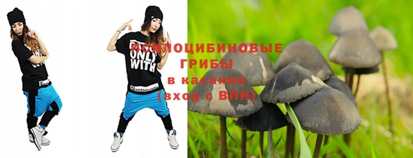 спайс Абаза