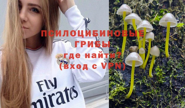 сатива Абдулино
